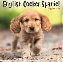English Cocker Spaniel Puppies Square Mi Calendar Book