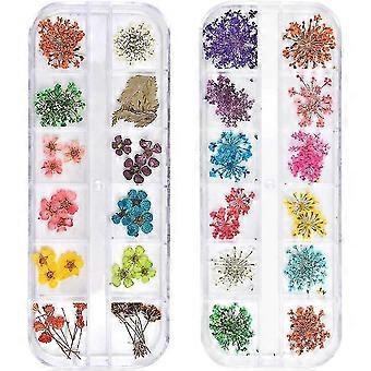 24 kleuren gedroogde bloemen voor nail art, 2 dozen 3D gedroogde bloemen nagelstickers 25-26