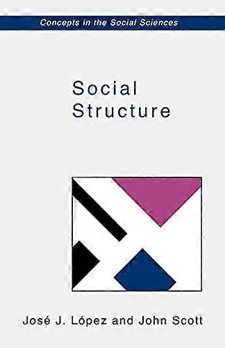 Social Structure (Concepts in the Social Sciences)