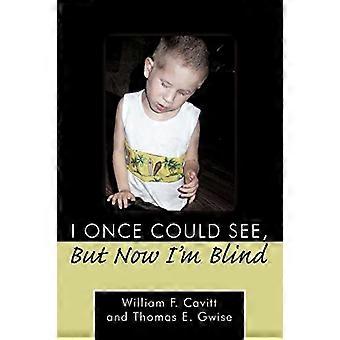 I Once Could See, but Now I'm Blind