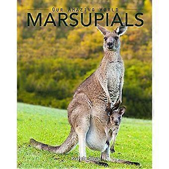 Marsupials: Amazing Pictures & Fun Facts of Animals in Nature