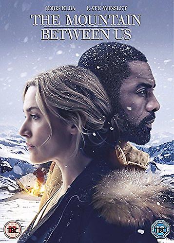 The Mountain Between Us [DVD]