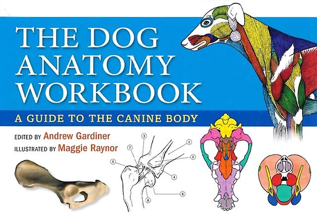 Dog Anatomy Workbook by Claire Phillips Paperback Book