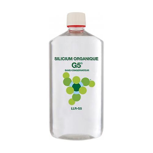 Organic silicon G5 1 L