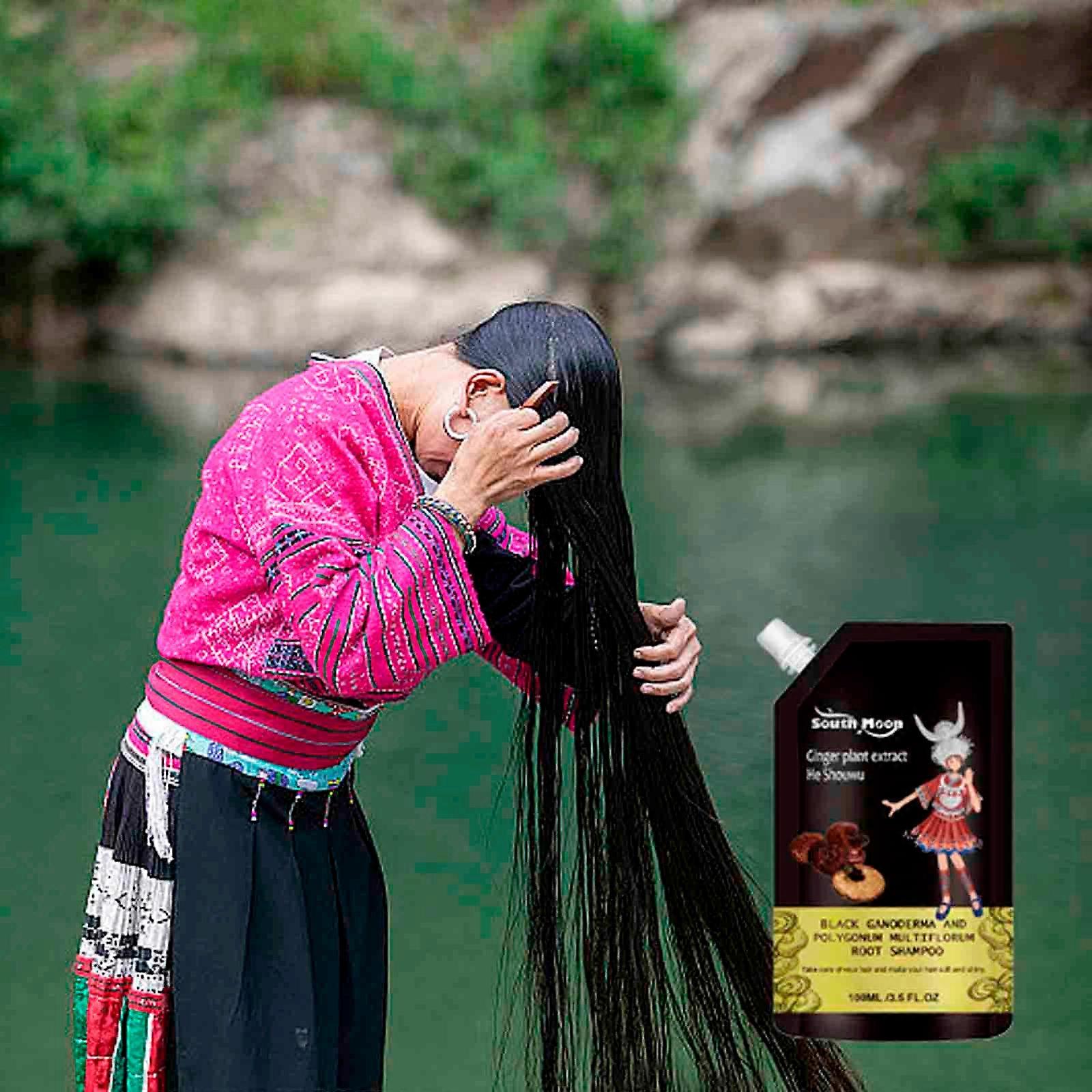 Ganoderma Nigrum Plant Extract Hair Shampoo Ganoderma Nigrum Extract Shampoo Polygonum Multiflorum Oil Control Shampoo 100ML