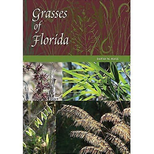 Grasses of Florida