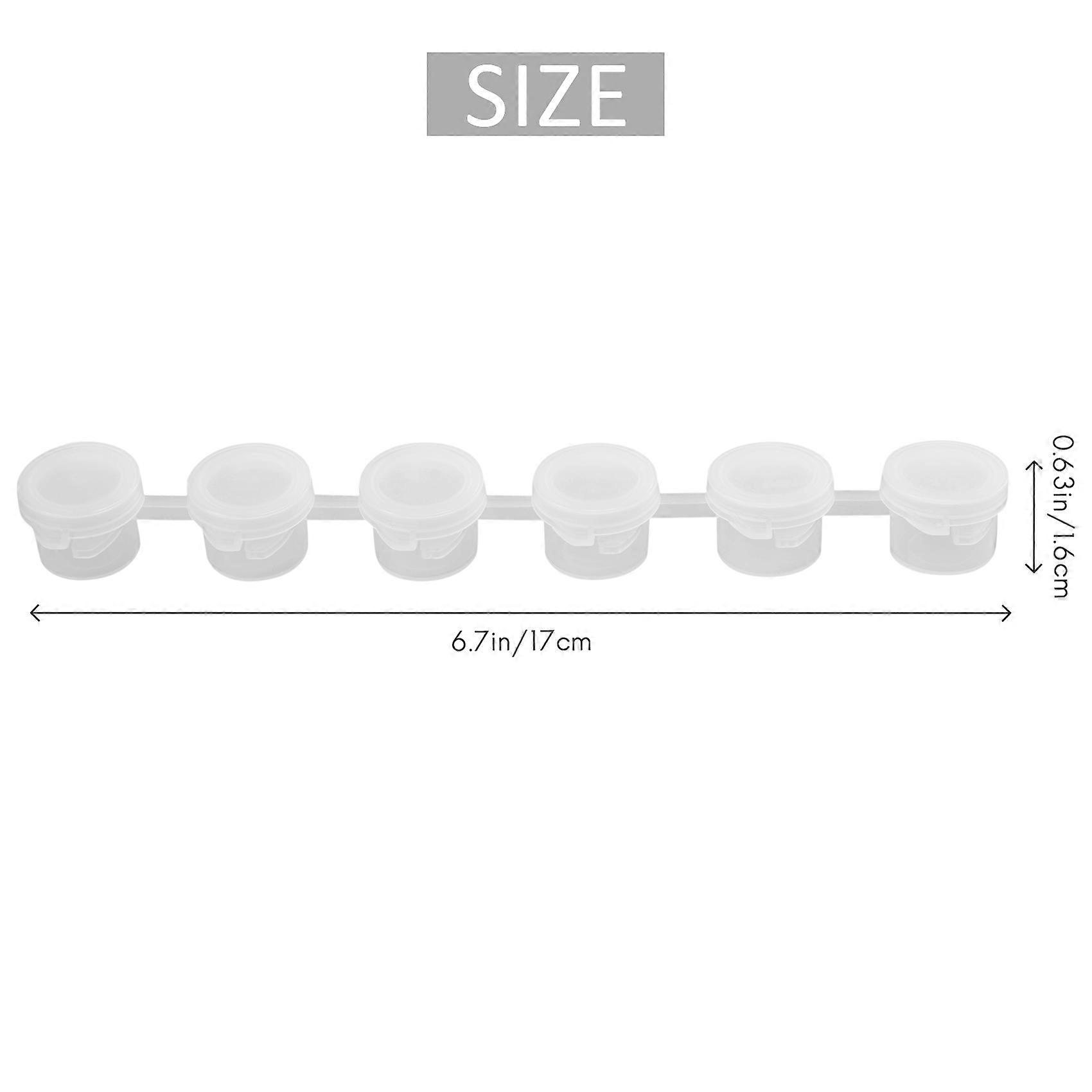 50 Strips Empty Paint Strips Paint Cup Pots Clear Storage