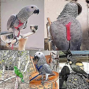 Parrot Bird Harness Leash Outdoor Flying Traction Straps Band Adjustable Anti-bite Training Rope