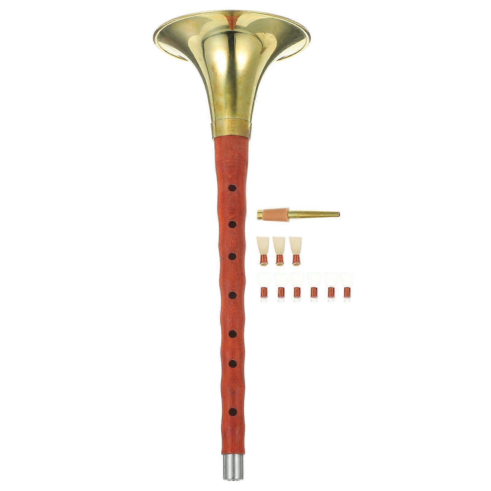 1 Set Beginner D Key Suona Rosewood-made Suona Instrument Ethnic Wind Instrument Random Color