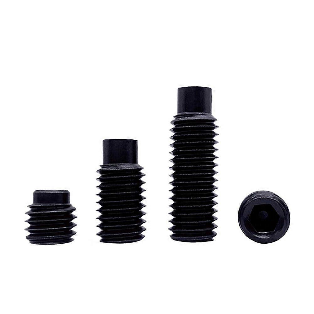 Hex Socket Set Screws Steel with Pin (M3 x 10 mm)
