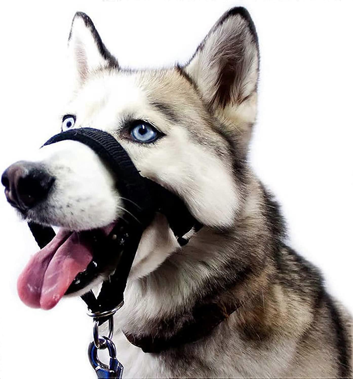 Dog Head Collar, Dog Muzzle,Head Halter Collar for Dogs,NoPull Training Tool for Dogs on Walks,Headcollar for Medium Large Dogs.Five Sizes (XL)