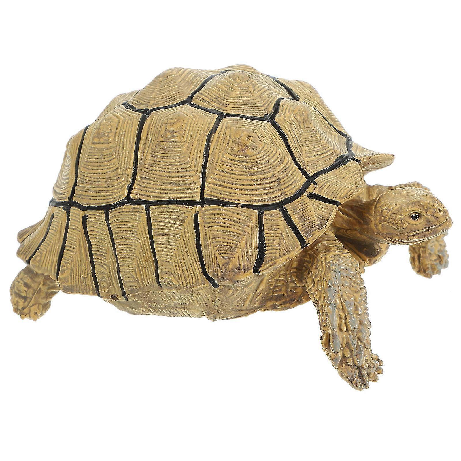 3Pcs Realistic Simulation Turtle Decoration Ideal for Children and Students in Balcony and Nursery Room with Educational Function