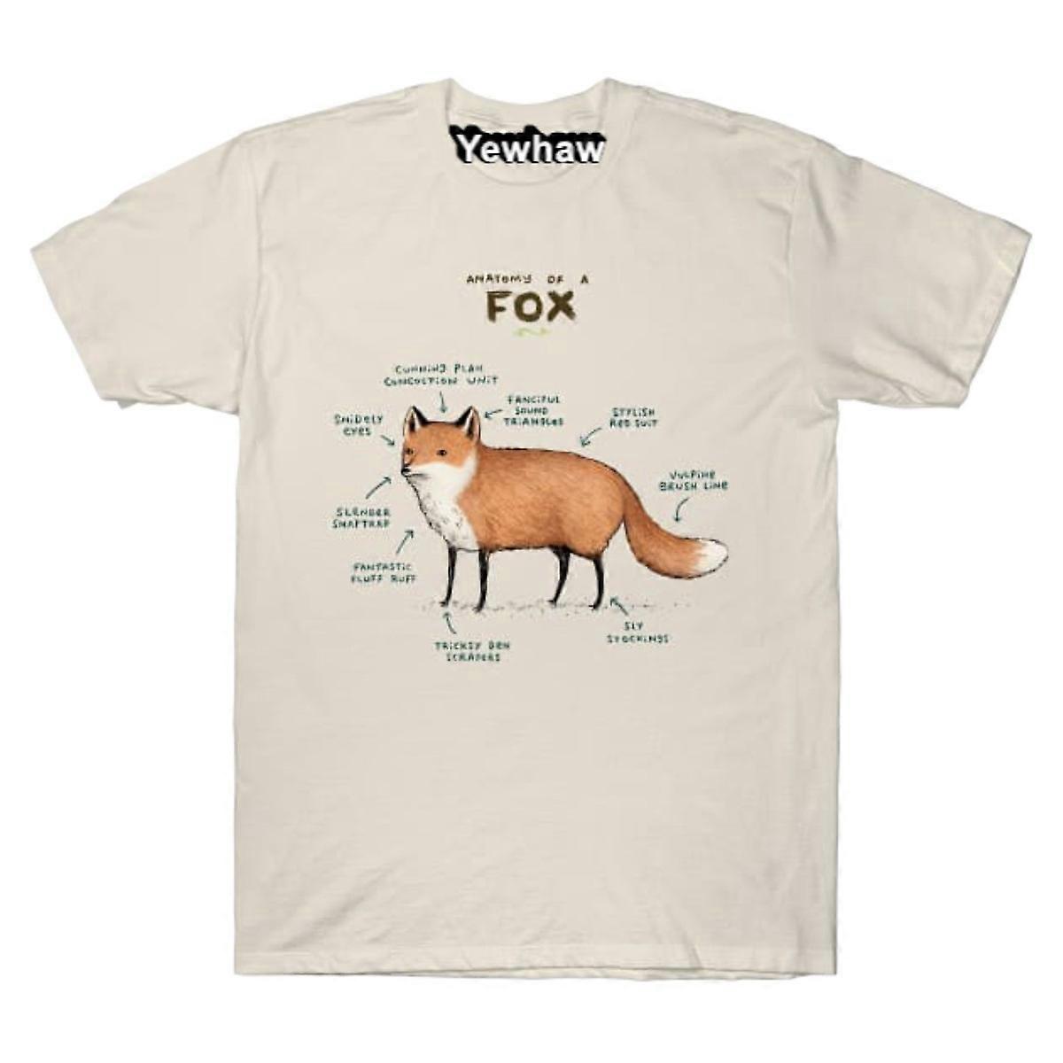 Fox-t-paidan anatomia