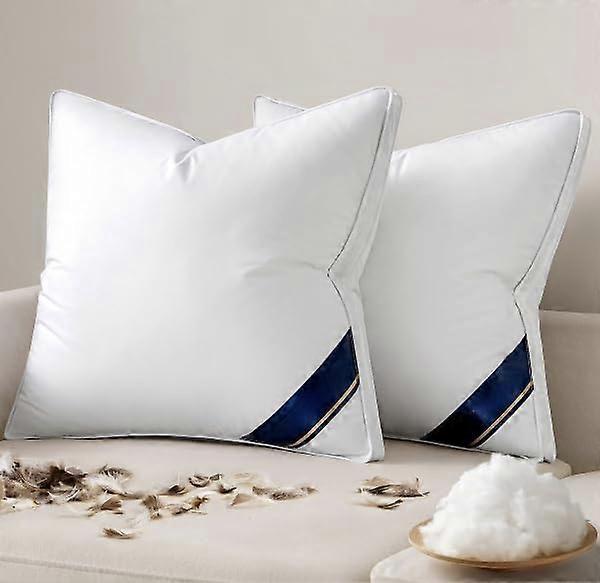 Set of 2 20x20 Feather Down Pillow Inserts with Gusseted Shape Retention