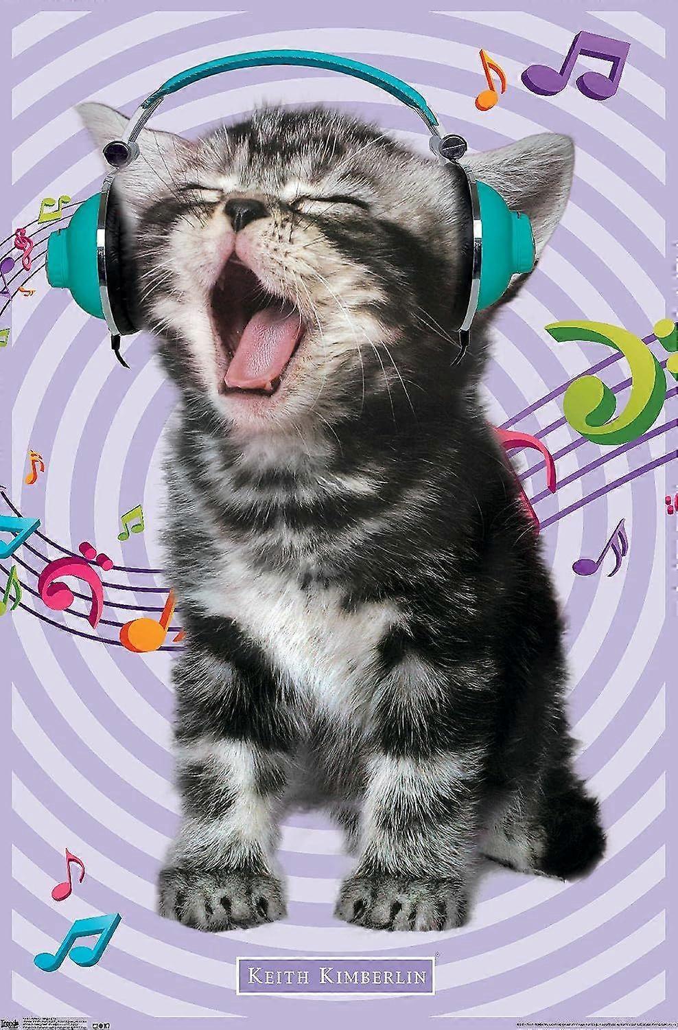 Kitten Singing Puzzle CYQL-1053