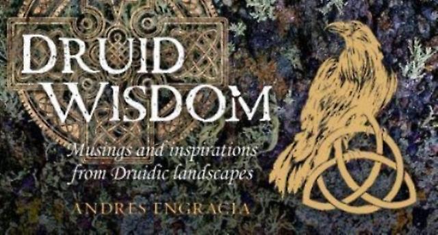 Druid Wisdom by Andres Engracia Paperback Book