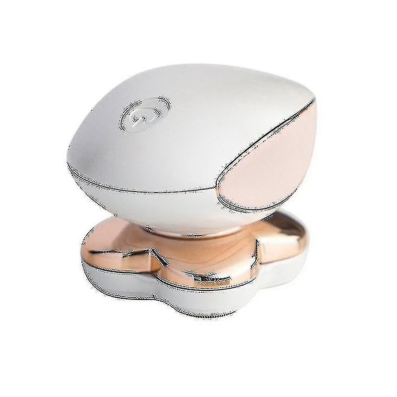 Feinschliff Makellose Beine Damen Haarentferner