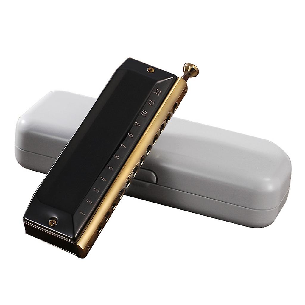 12 حفرة هارمونيكا مع حالة للطلاب المبتدئين ، هدية ممتازة للموسيقى