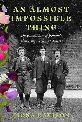 An Almost Impossible Thing by Fiona Davison Paperback Book