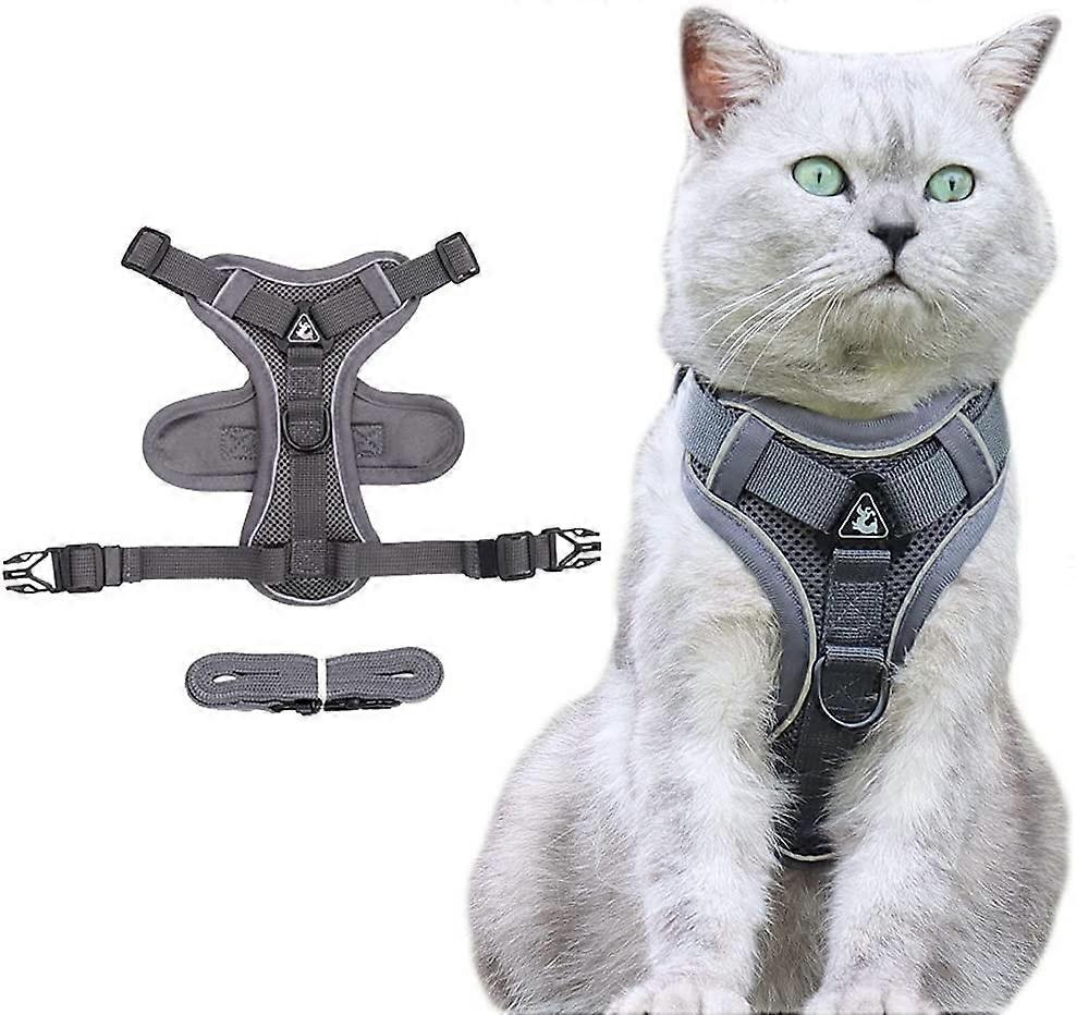 Dog Harness and Lead Set for Small Medium cat- Adjustable Elastic Strap Vest HarnessesGrey,S
