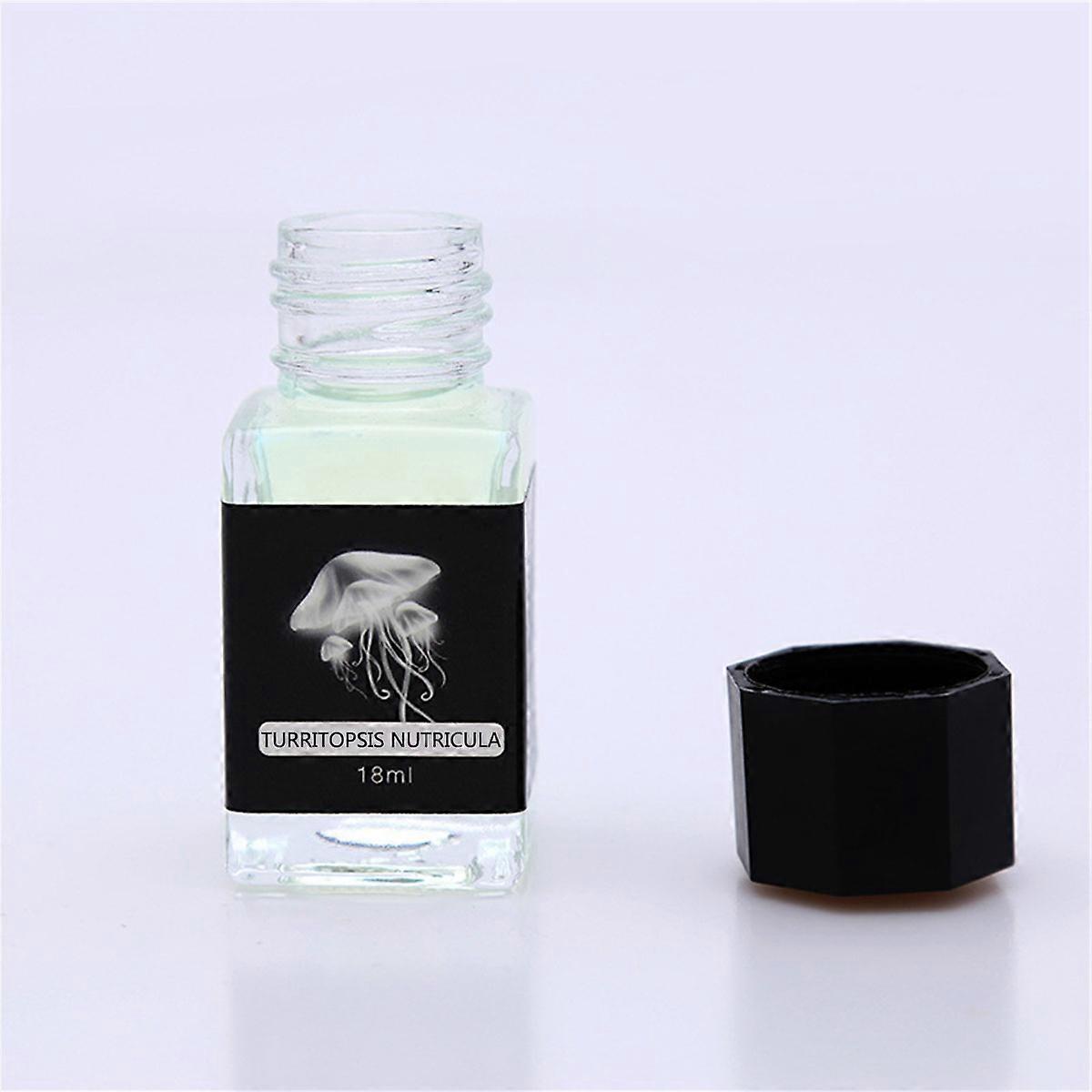 Funny Invisible Ink with UV Light Colored Disappearing Magic Ink 18ml Bottled