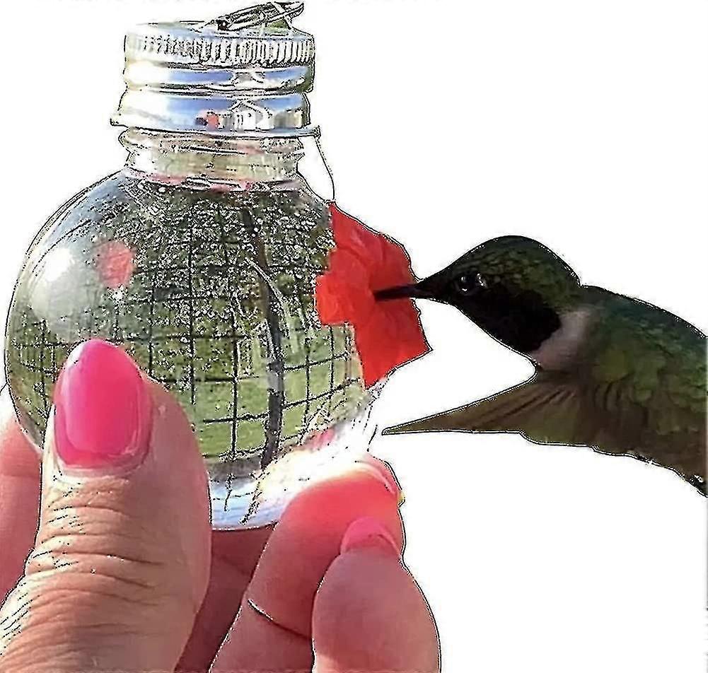 Hummingbird Hand Feeders, Mini Hummingbird Hand Feeders, Portable Humm