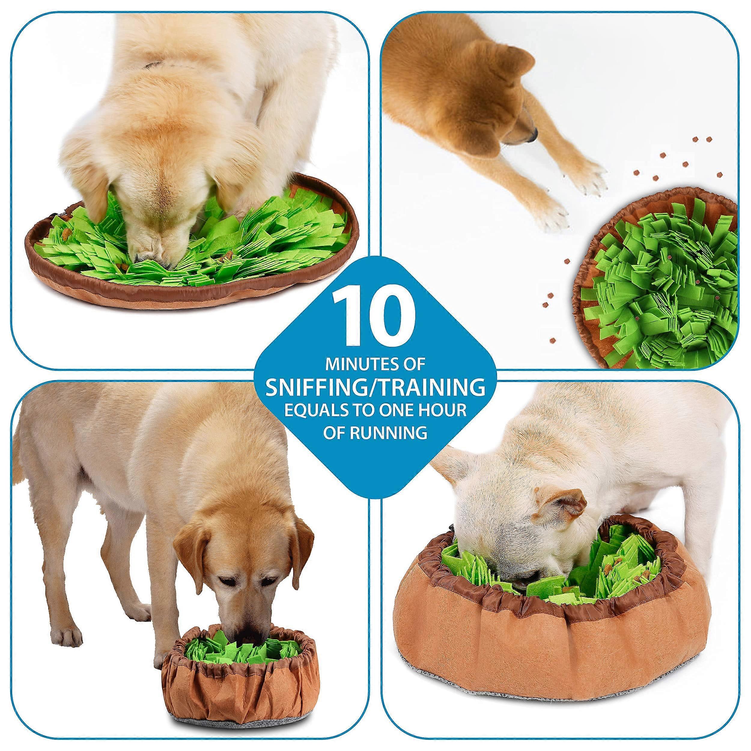 Premium Dog Toys for Boredom Interactive Encouraging Natural Foraging Skills Portable Dog Puzzle Feeder for Relief