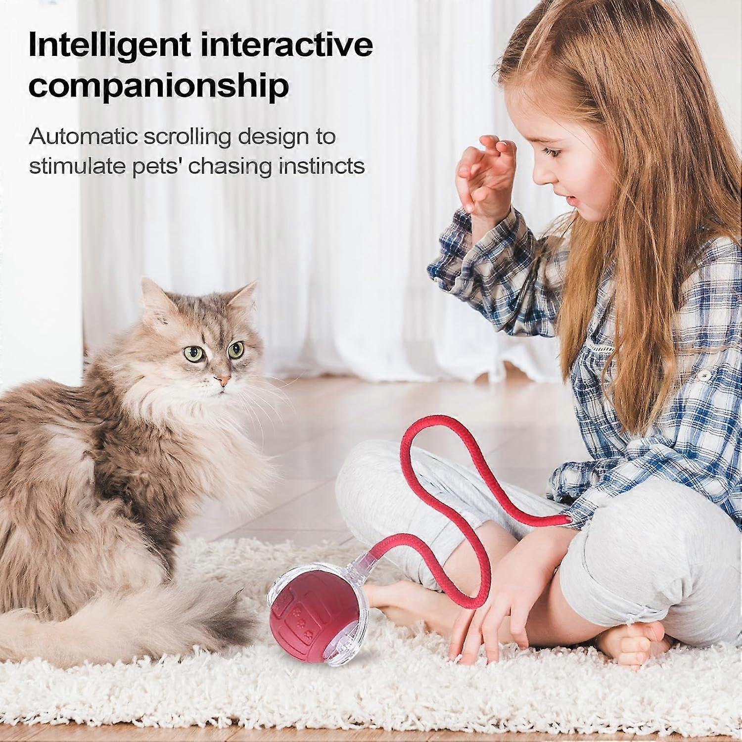 Jouet Interactif Pour Chat Avec Cataire - Corde Rétractable, Activation Tactile - Anti-ennui, Stimulation Intérieure