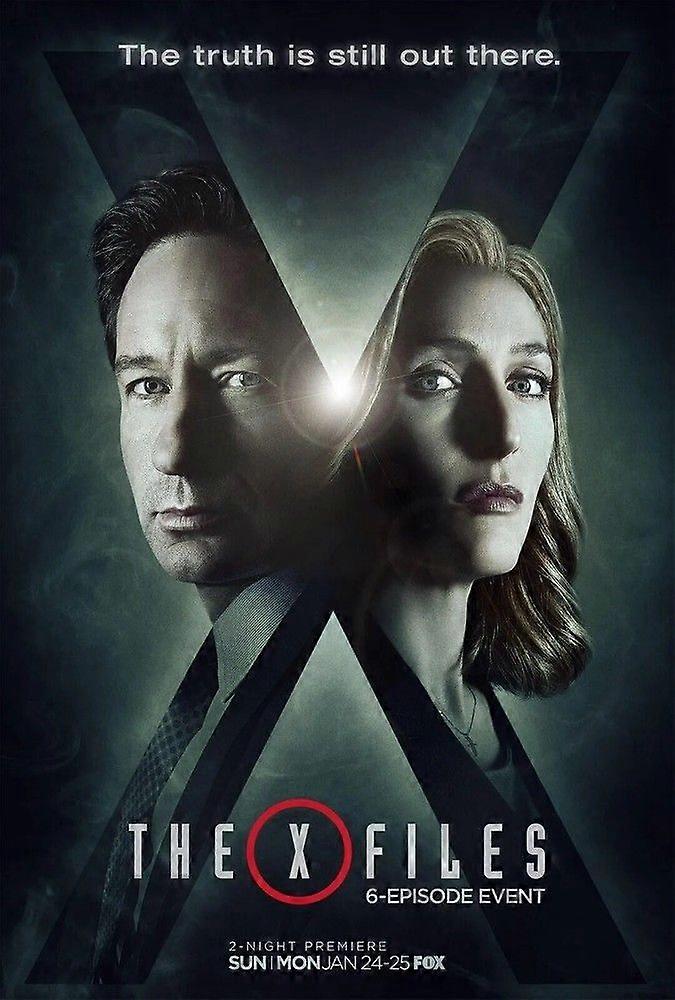 X-Files Stresslindrende Puslespill P2835
