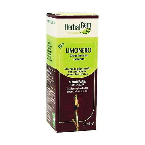 Glycerinated Macerated lemon tree 50 ml