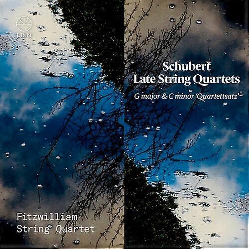 Franz Schubert : Schubert: Late String Quartets: G Major & C Minor,