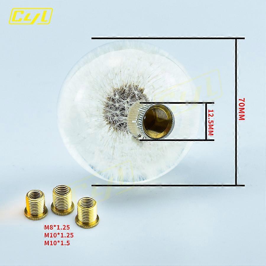 Car Accessories Dandelion Gear Shift Knob Round Clean Real Flower Shifter Knob 65mm/70mm Acrylic Shift Knob
