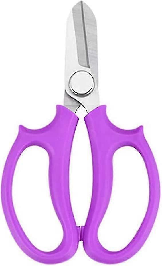 Floral Pruning Shears for Garden