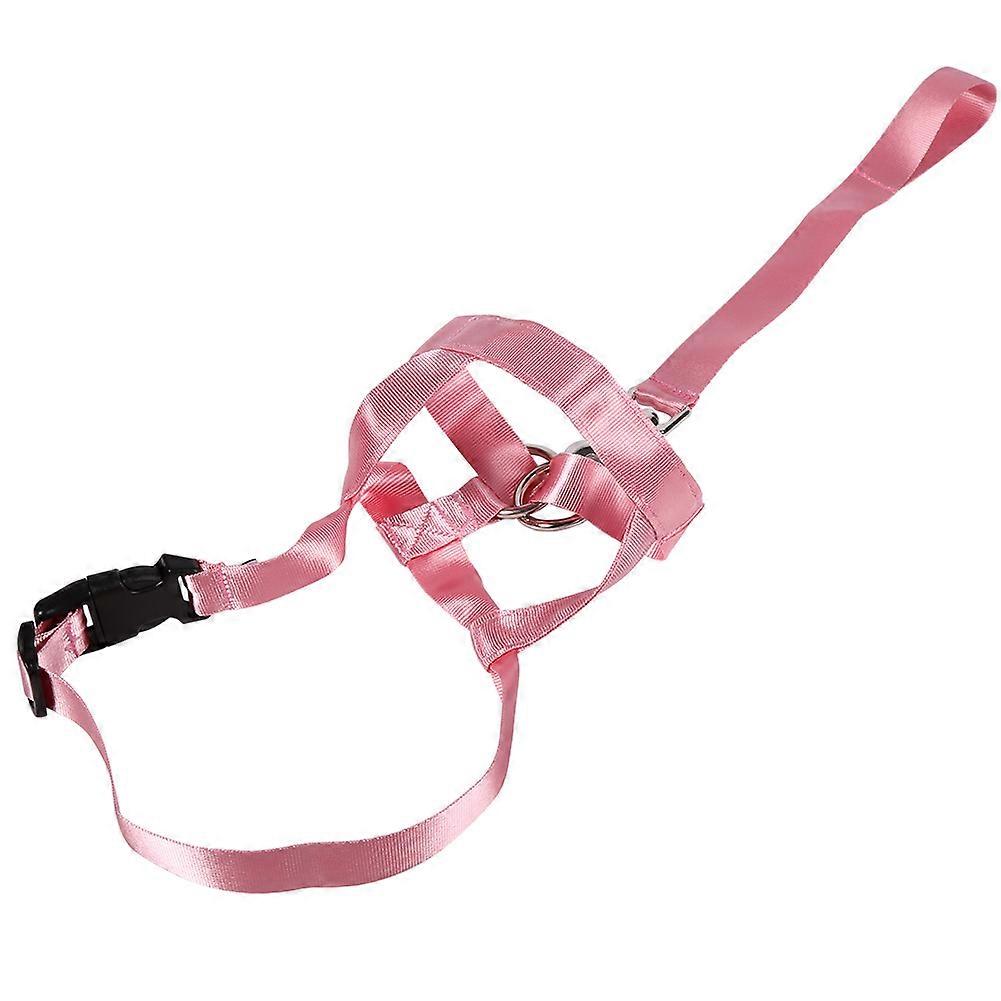 Anti - bite Anti - eating Nylon Pull Straps for Puppy Training Leader