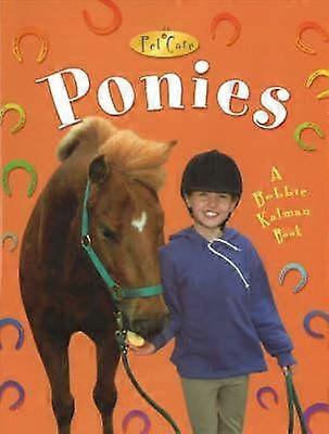 Ponies - Kelley MacAulay
