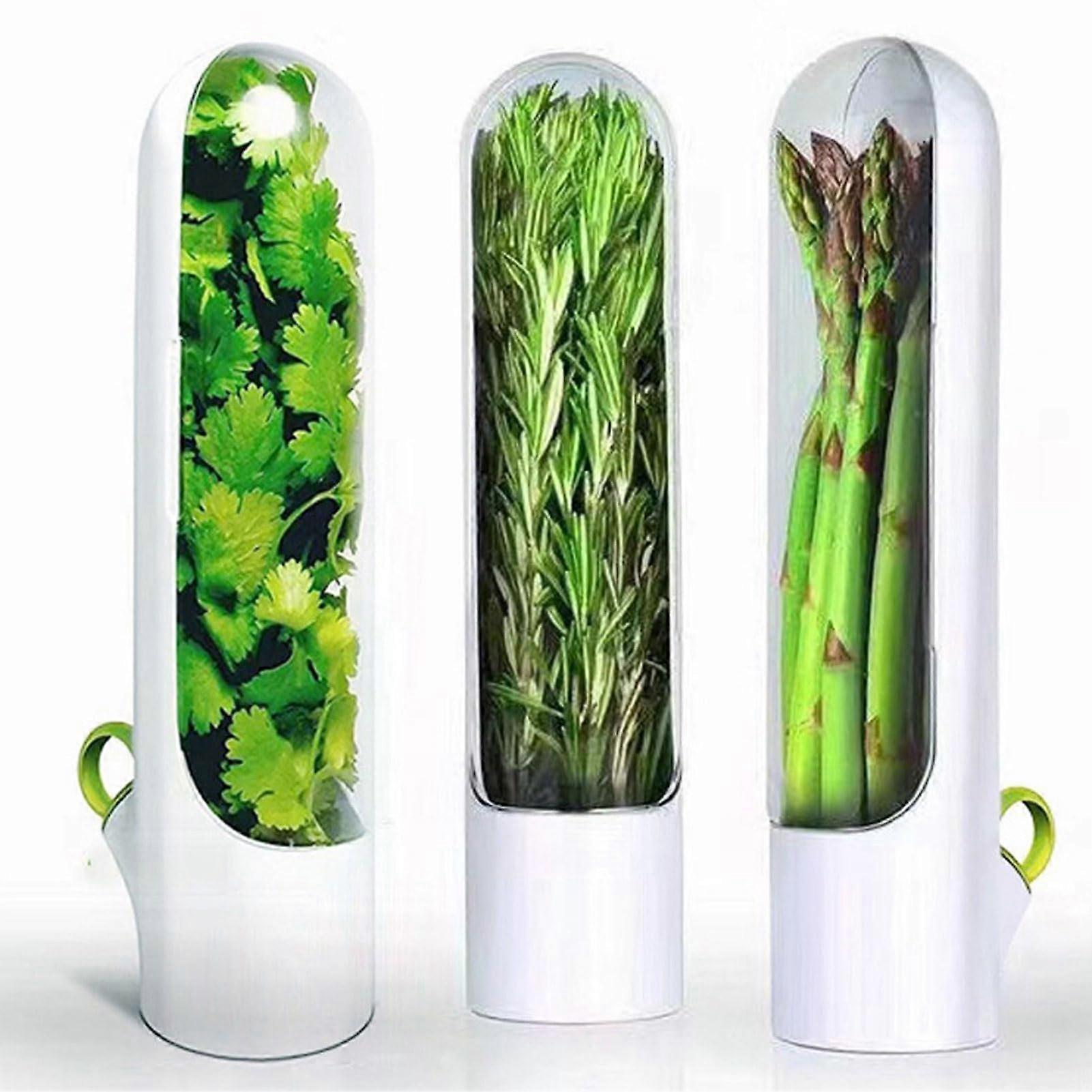 Rectangular Fresh Herb Storage Container with Flip  Lid for Kitchen (1PCS)