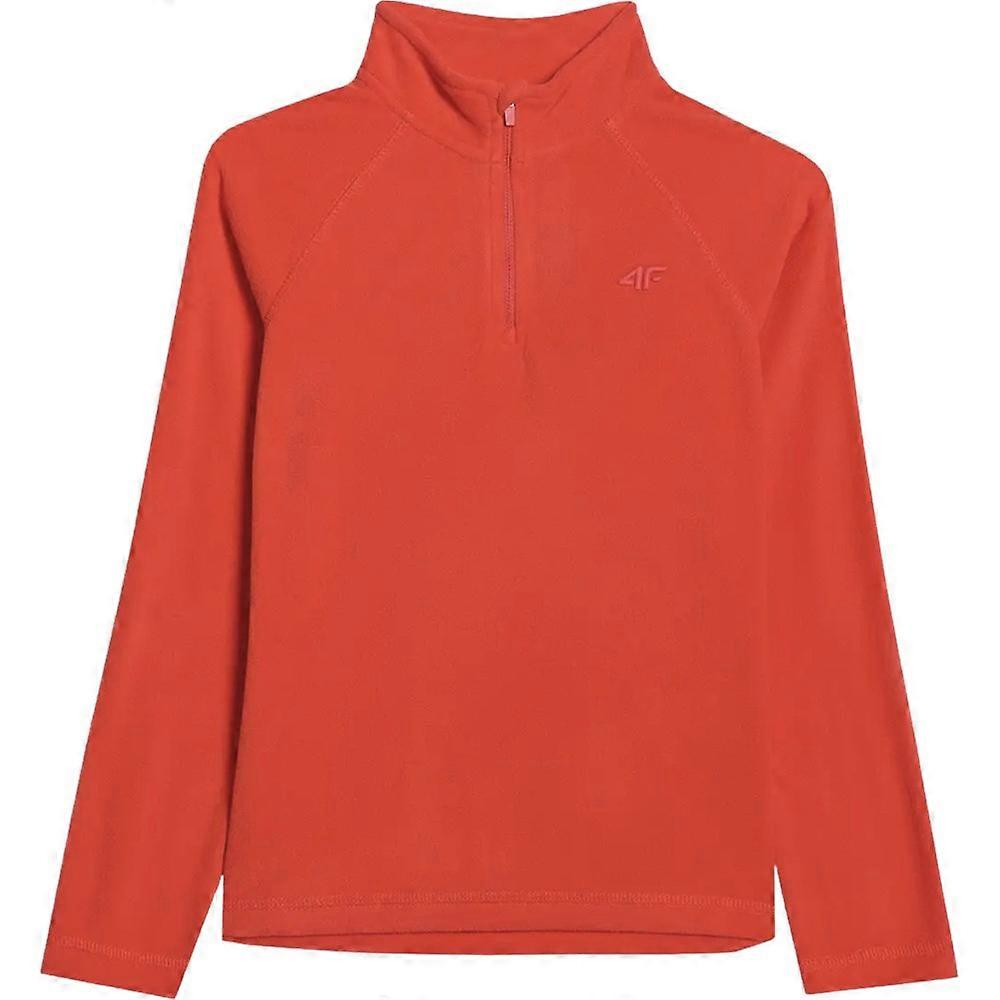 Sweatshirts 4F B25681