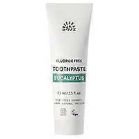 Eucalyptus Toothpaste 75 ml