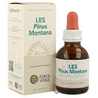Les pinus montana osteoarticular system 50 ml