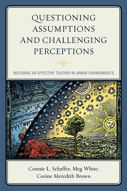 Questioning Assumptions And Challenging Perceptions by Corine Meredith Brown Hardback Book