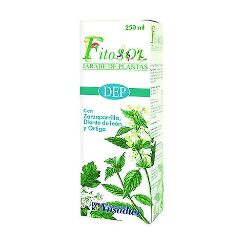 DEP Depurative Syrup 250 ml