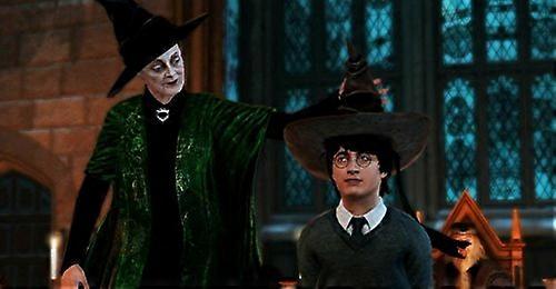 Microsoft Harry Potter Kinect Xbox 360 - video games (Xbox 360 Xbox 360 Action  Adventure E10 (Everyone 10)) - PAL - New & Sealed