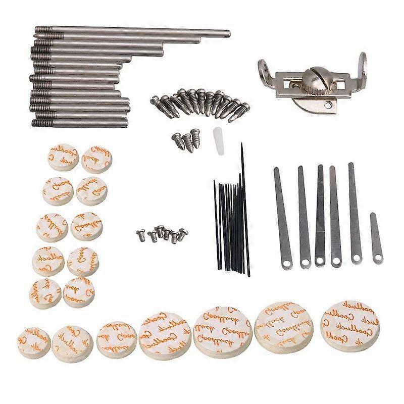 DIY Clarinet Repair Tool Kit Maintenance Parts Screws Kit Spring Leaf Woodwind Instrument Accessory