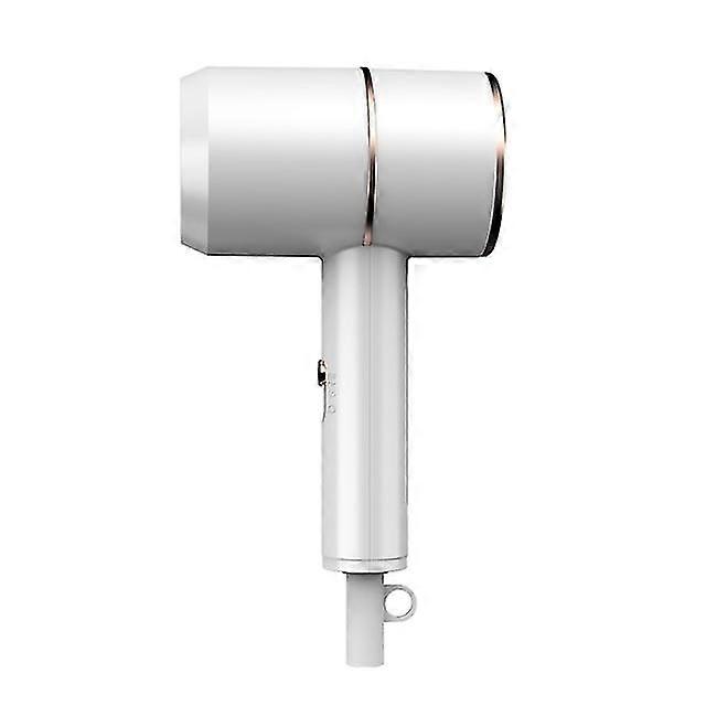Thermostic Anion Hair Dryer