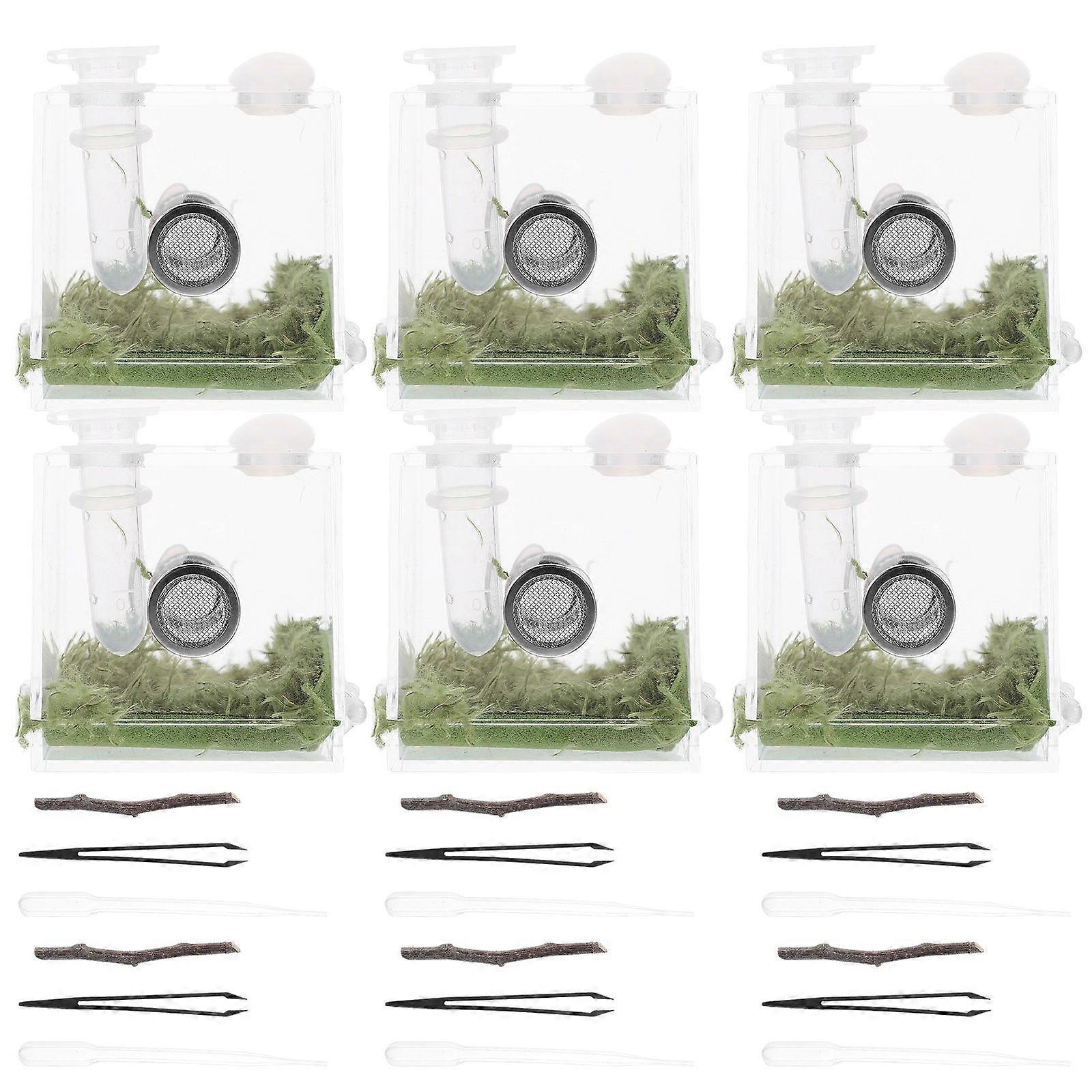 2 Sets of Jumping Spider Enclosure Box Spider Habitat Box Acrylic Insects Feeding Case