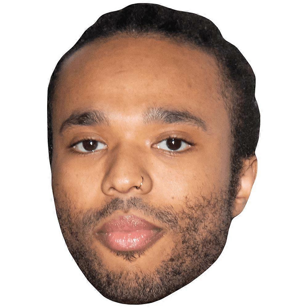Bobbie Vylan (Beard) Celebrity Mask, Flat Card Face