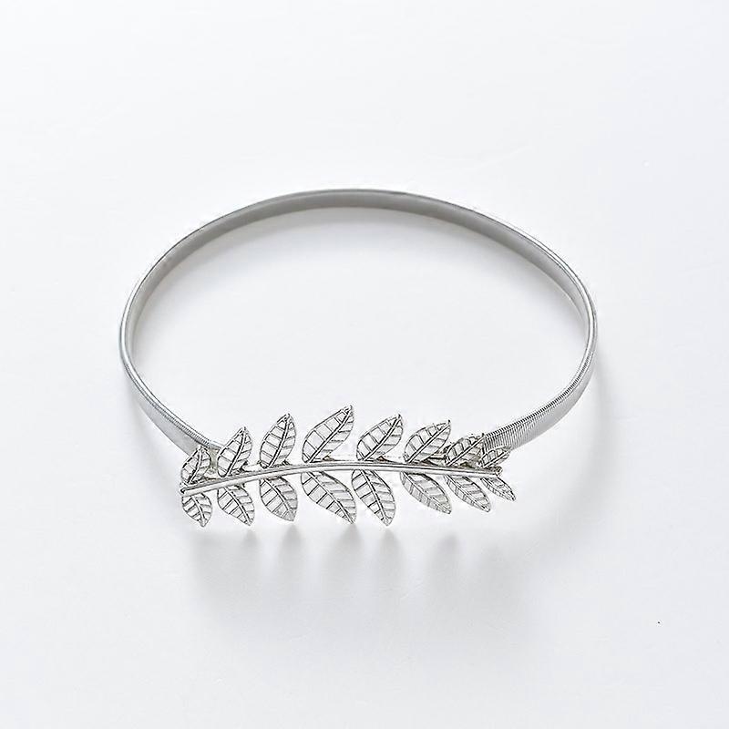 2Pack Aluminum Alloy Spring Design Curtain Tiebacks