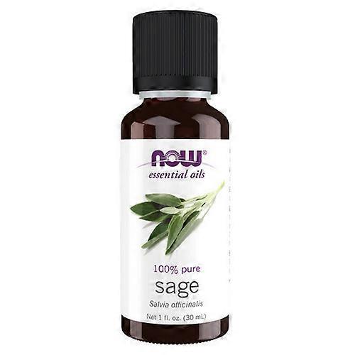 Now Foods Sage Oil ,1 OZ (Pack of 1)