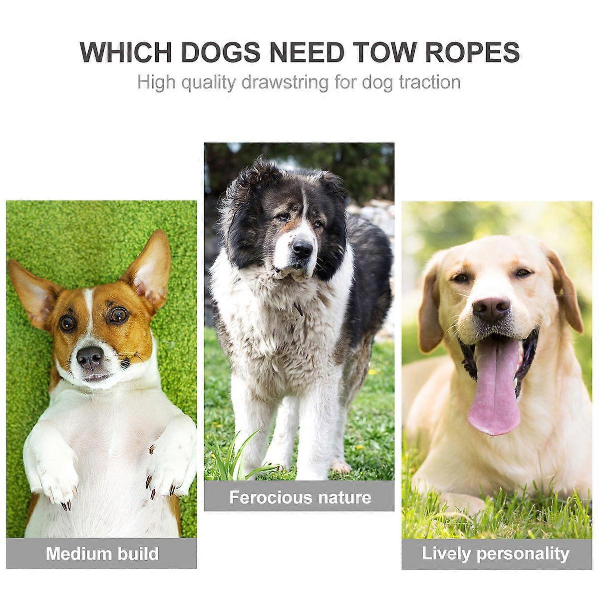 Pet Pulling Strap Nylon Alloy Buckle Traction Rope 15m with Eva Handle