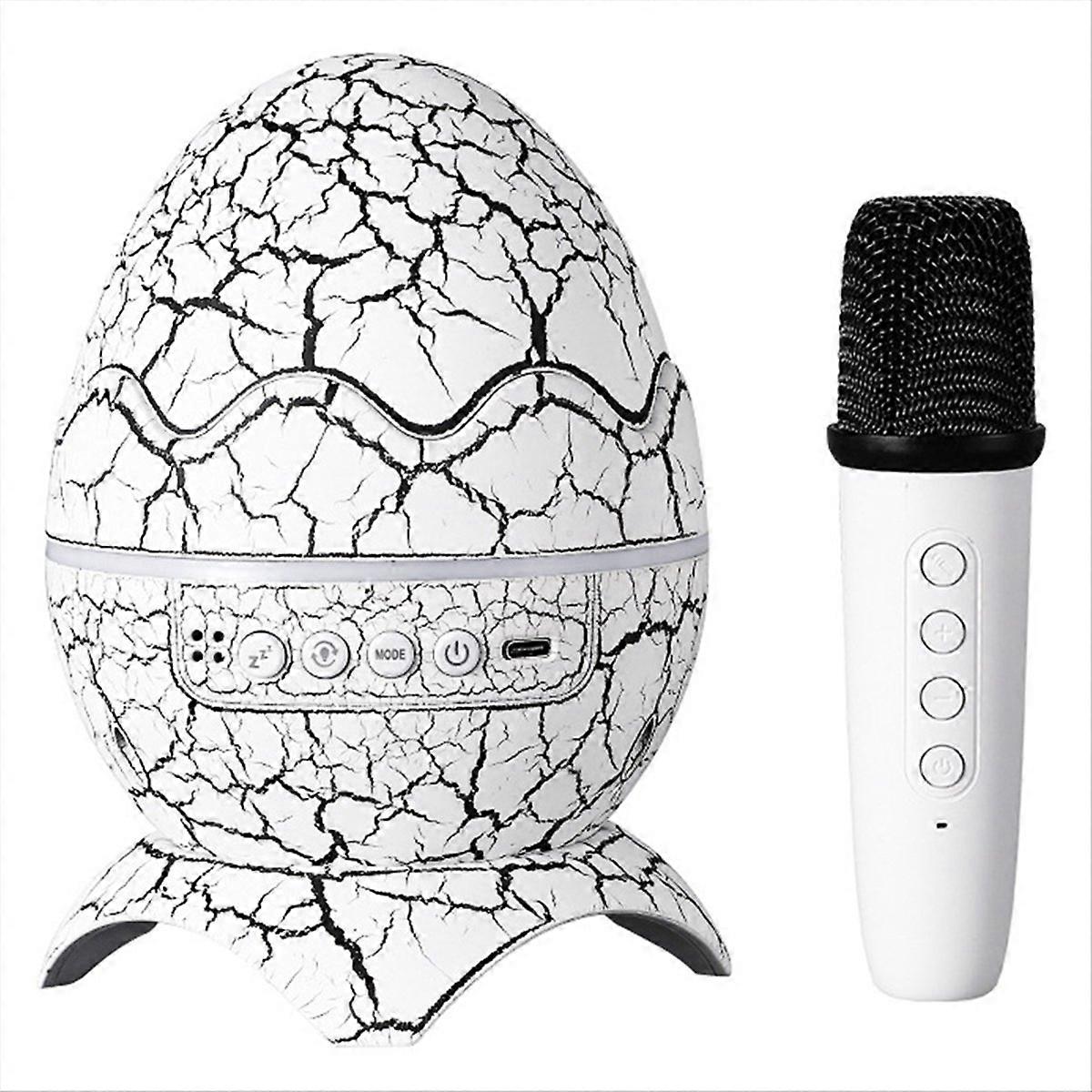 Karaoke Bluetooth Speaker
Projection Lamp